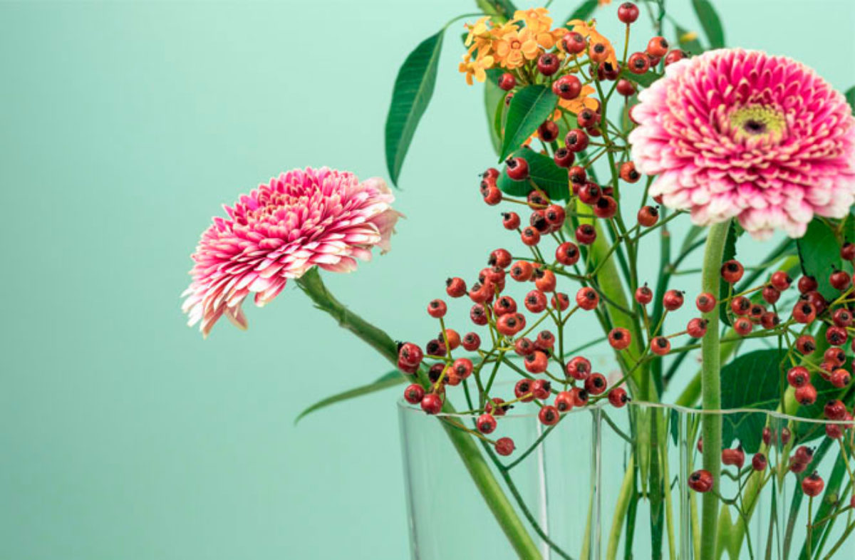 Arreglos Florales | Blog de Flores - Colvin
