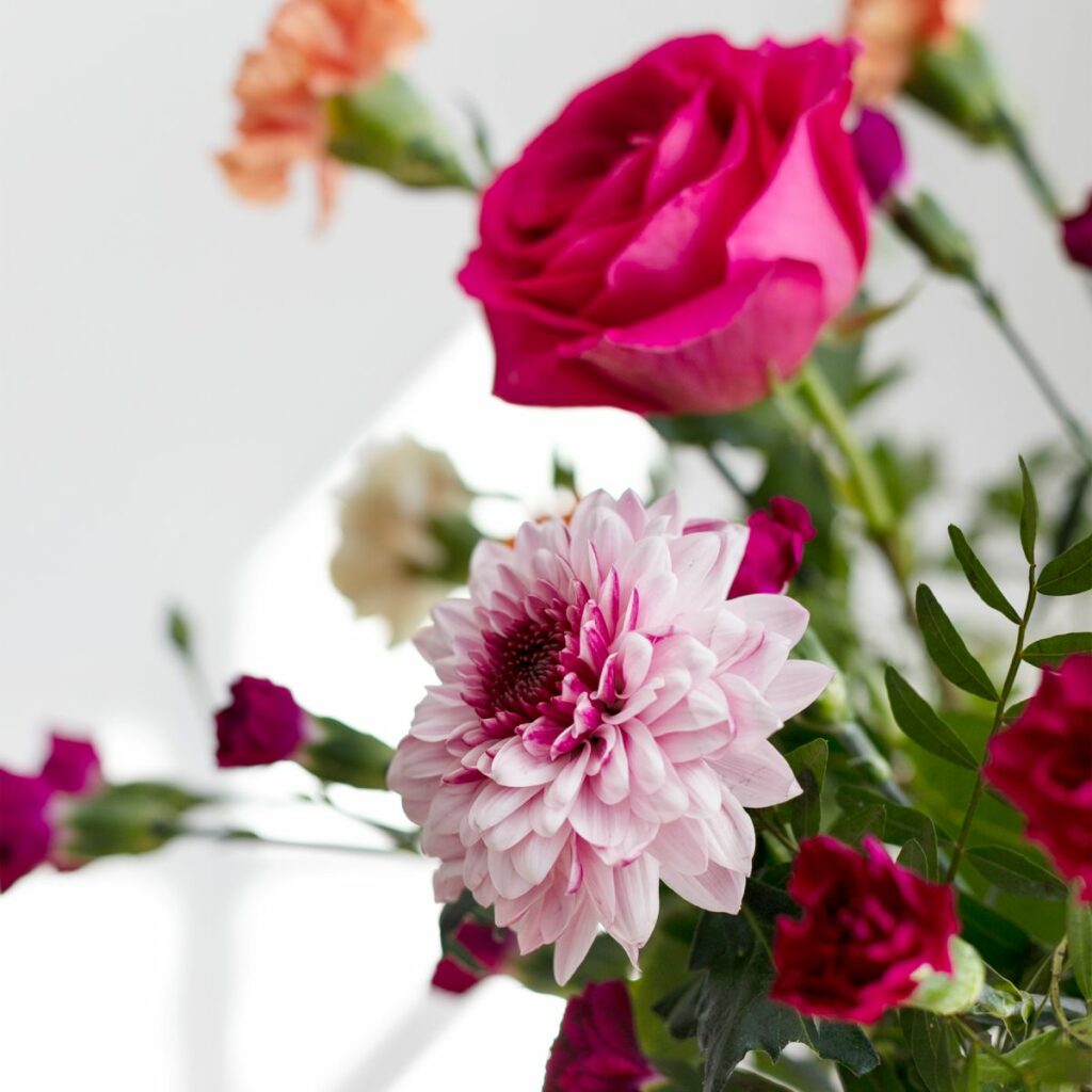 Soñar con flores: ¿qué significa según su color? | Colvin Blog